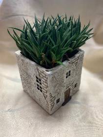 Mini Succulent Houses (options available)