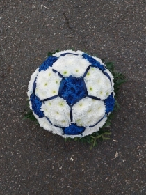 3d Blue and white football