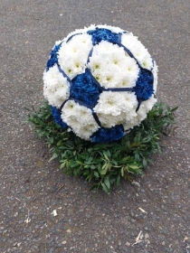 3d Blue and white football