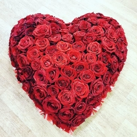 Red rose Heart
