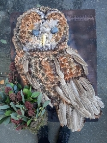 Tawny Owl tribute