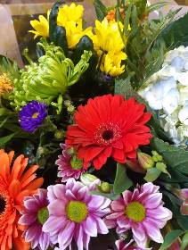 florist choice arrangement (60)