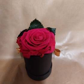 Freeze dried boxed rose head