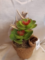 Succulent pot (artificial)